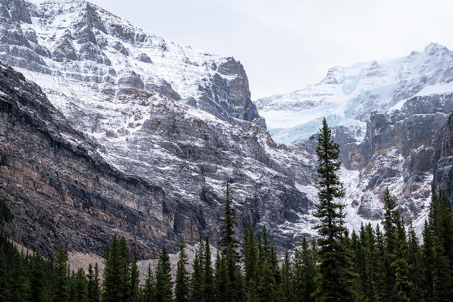 Mountain Glacier Photograph by Matt Dobson