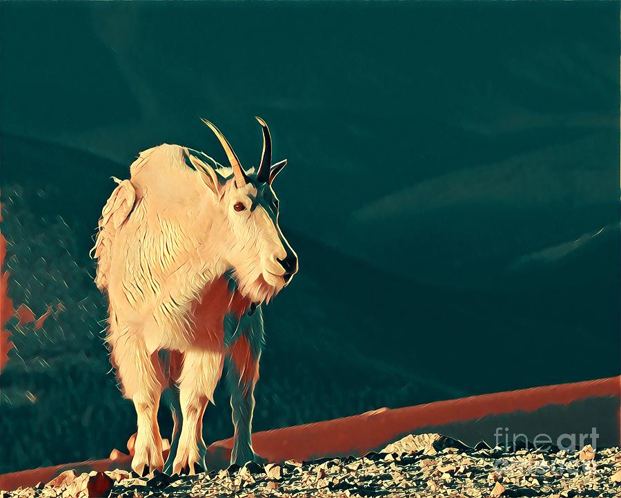 Mountain Goat Digital Art by Dlamb Photography