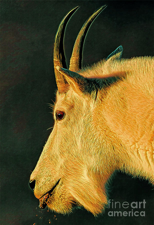Mountain Goat in the Morning Sun Digital Art by Dlamb Photography