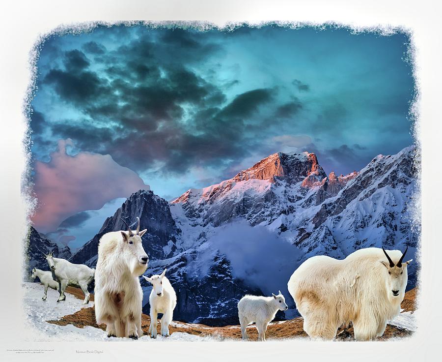 Mountain Goats Digital Art by Norman Brule