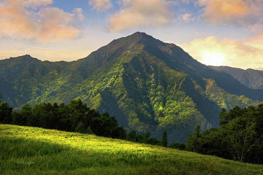 Mountain In Kauai D Digital Art by Frank Wilson