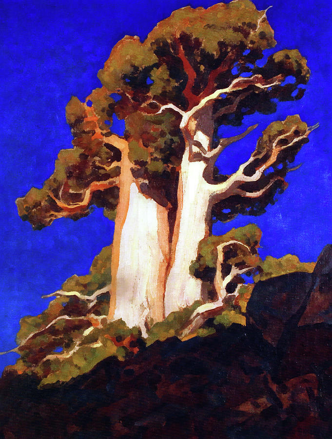 Mountain Juniper Painting by Jon Baran