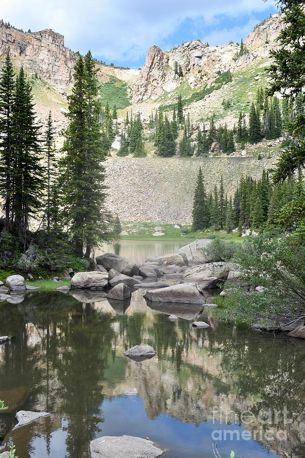 Mountain Lake Reflections Photograph by Tonya Hance - Fine Art America