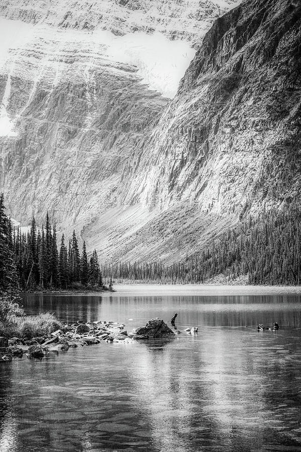 Mountain Lake Vertical Panorama Photograph by Dan Sproul