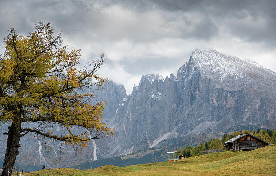 Alpe di siusi,Mountain landscape  Dolomite rocky peak Italian Alps Photograph by Michalakis Ppalis