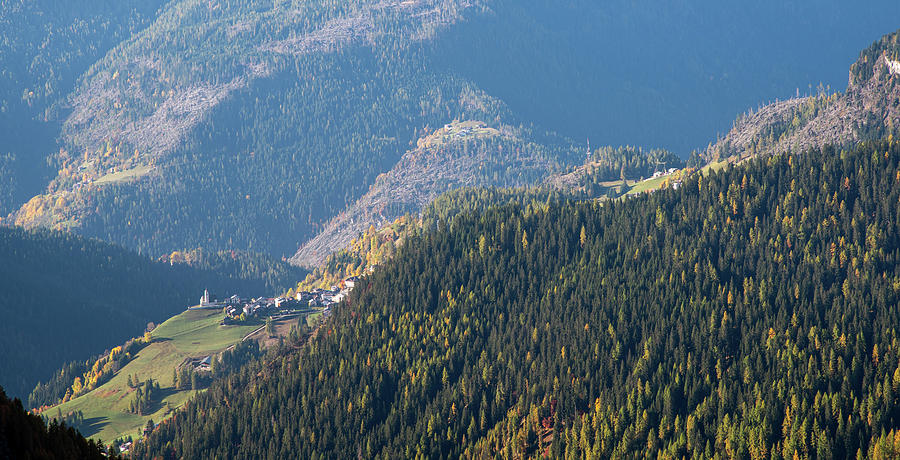 Mountain landscape with forest in the Italian alps. Photograph by Michalakis Ppalis