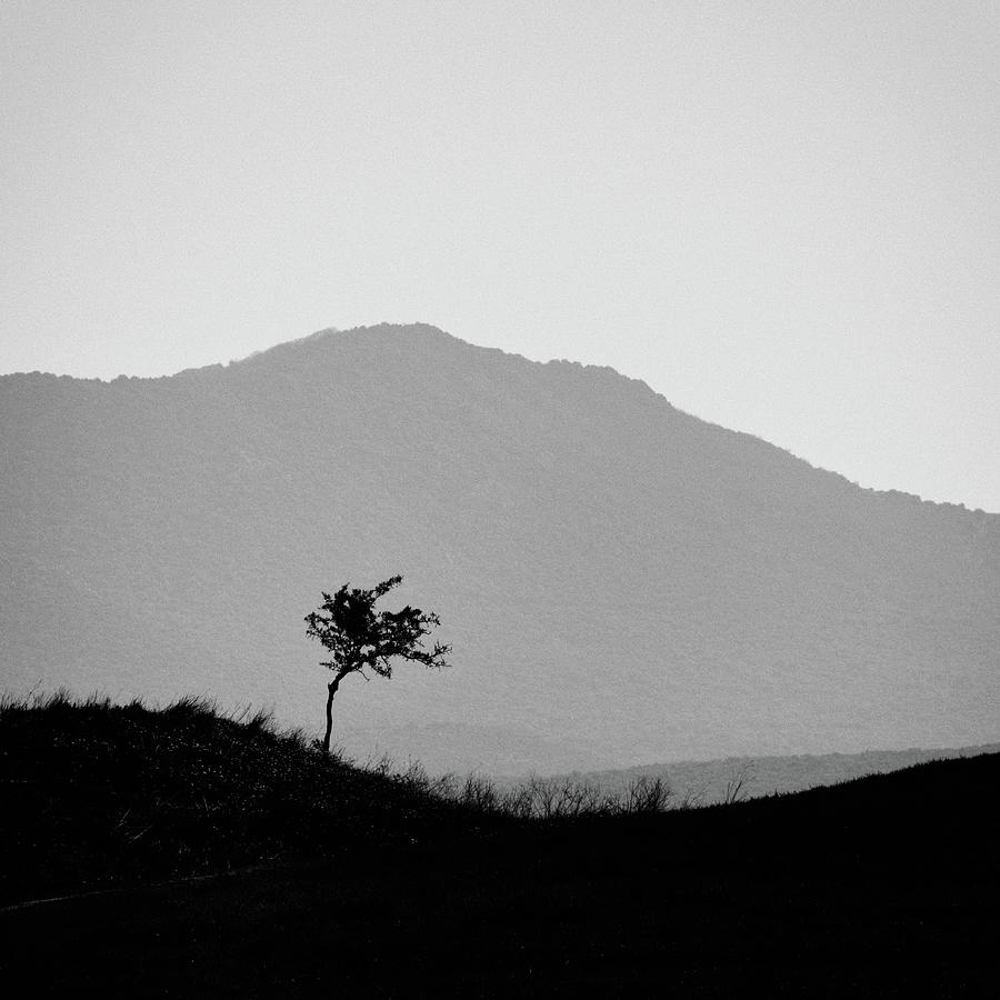 Mountain lines VII Photograph by George Vlachos