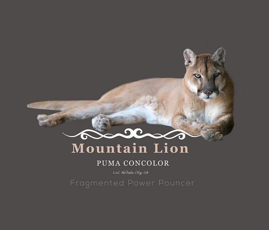 Mountain Lion Fragmented Power Pouncer Digital Art by Lisa Redfern