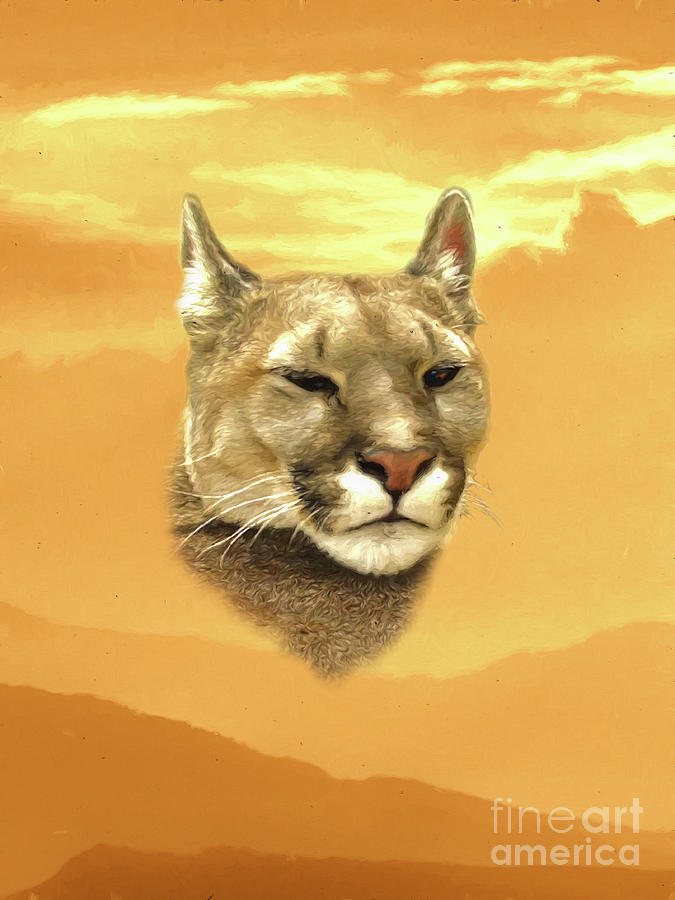 Mountain lion Digital Art by Gyula Gvardian - Fine Art America