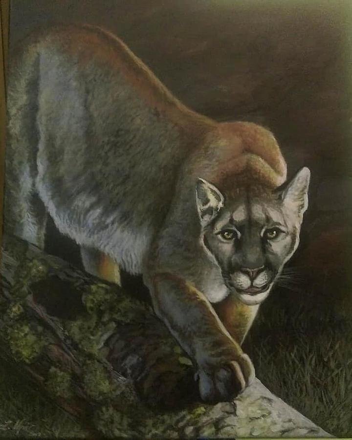 Mountain Lion Painting by Laurence Upi | Fine Art America