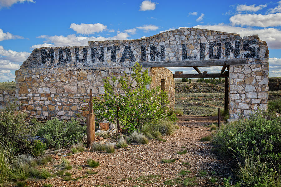Arizona Photograph - Mountain Lions Zoo by Jack and Darnell Est Arizona Photograph - Mountain Lions Zoo by Jack and Darnell Est