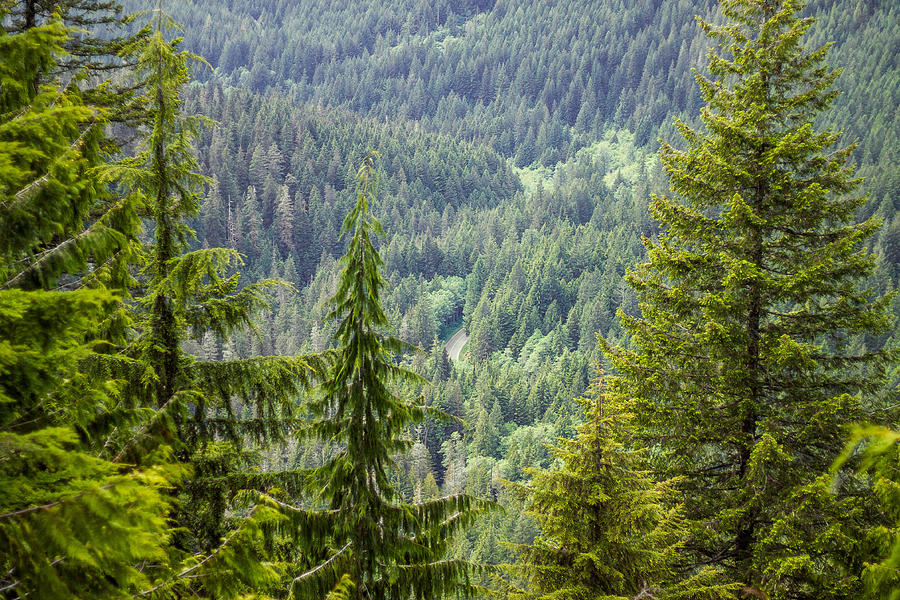 Mountain Loop Highway Photograph by John Wyatt Worrel | Fine Art America