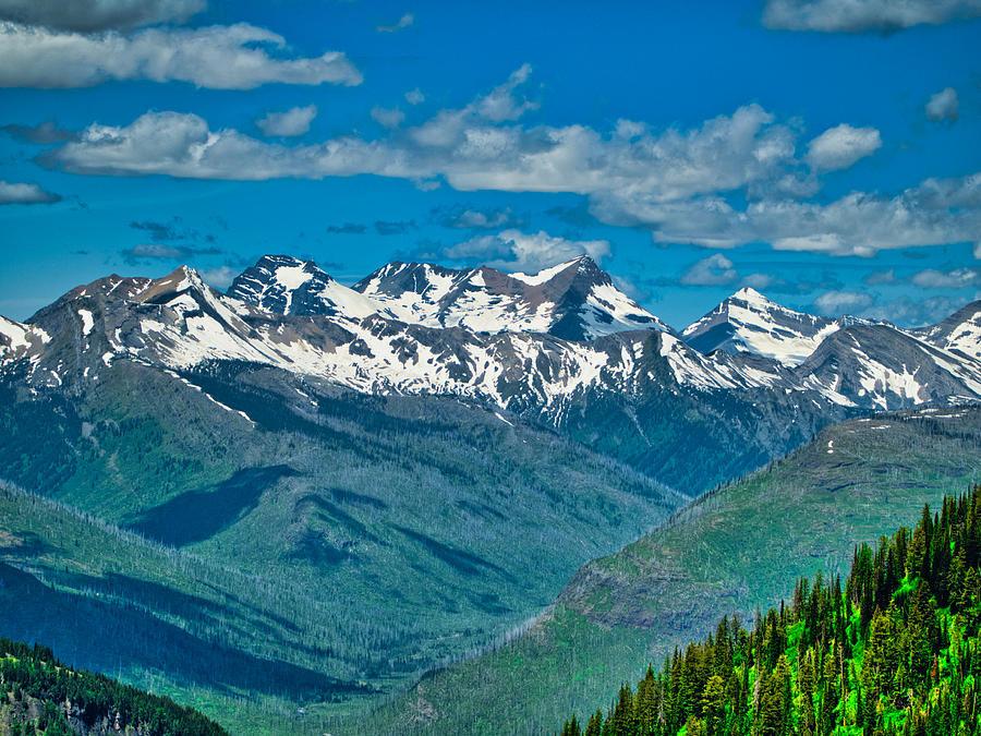 Mountain Majesty Photograph by Judy Cuddehe
