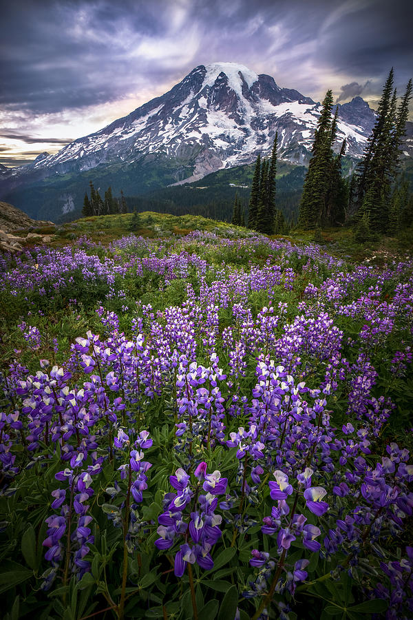 Mountain Majesty Photograph by Ryan Smith