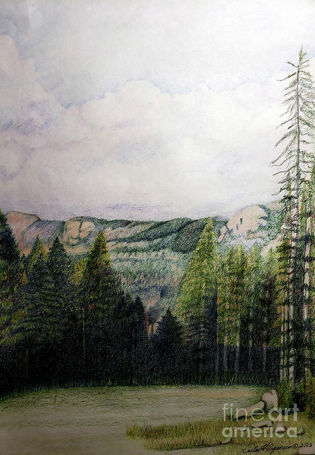 Mountain Meadow Drawing by Ceilon Aspensen