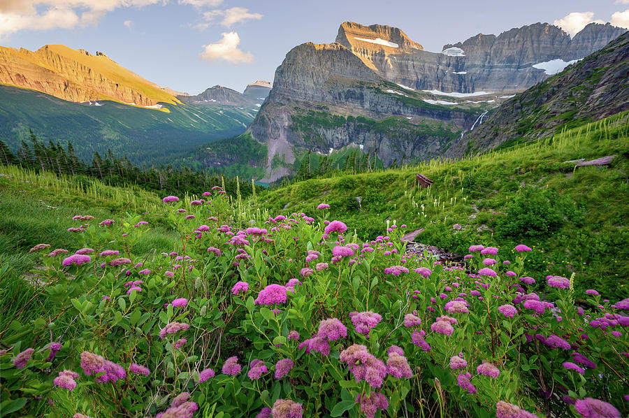 Mountain meadow Photograph by Robert Miller