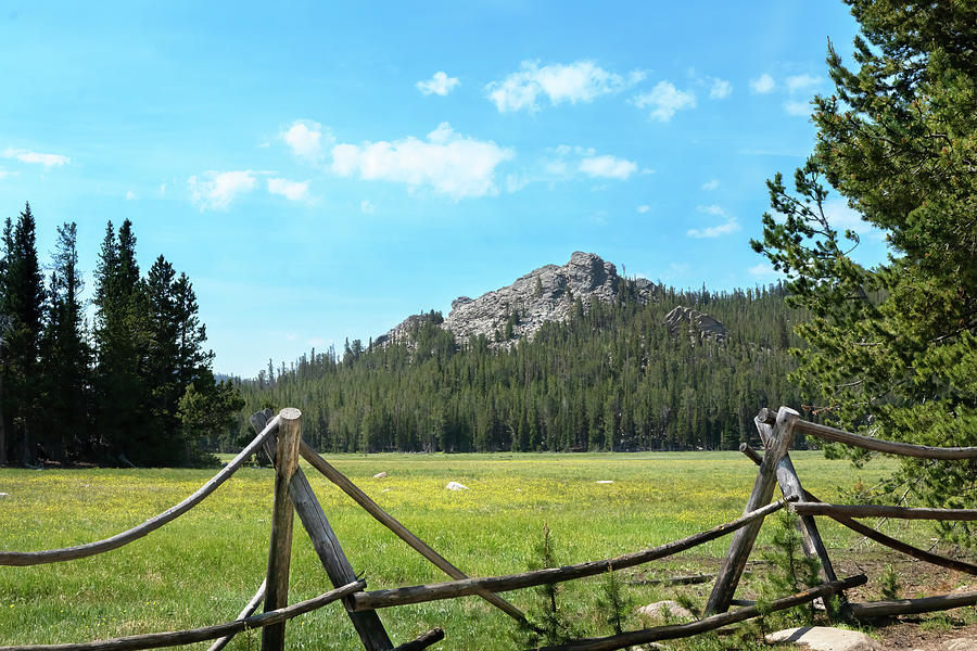 Mountain Meadow with Buck Fence Photograph by Laura Terriere