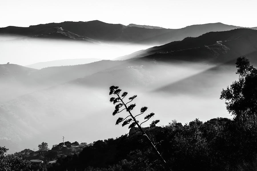 Mountain mist Photograph by Gary Browne