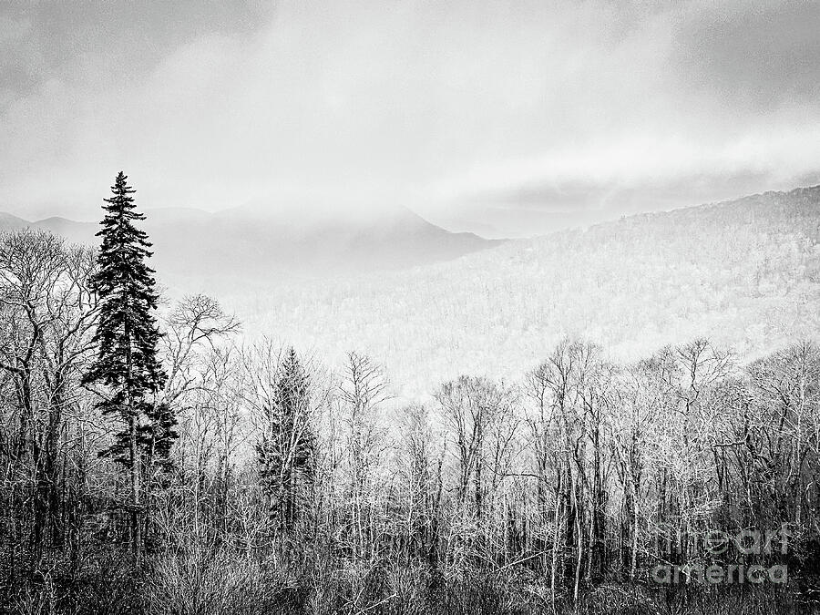 Mountain Mist Photograph by Leslie Brashear Mountain Mist Photograph by Leslie Brashear