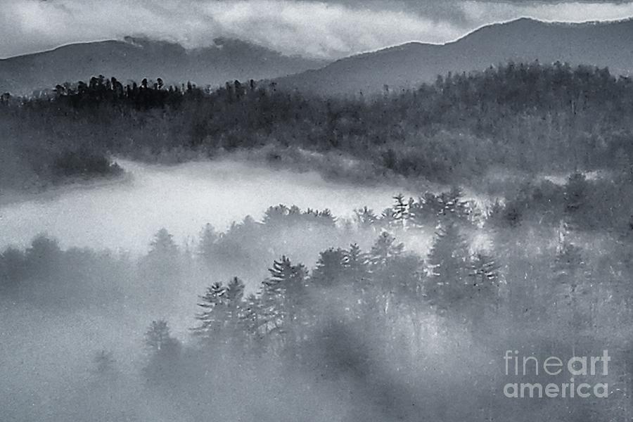 Mountain Photograph - Mountain Mist by Shari Jardina