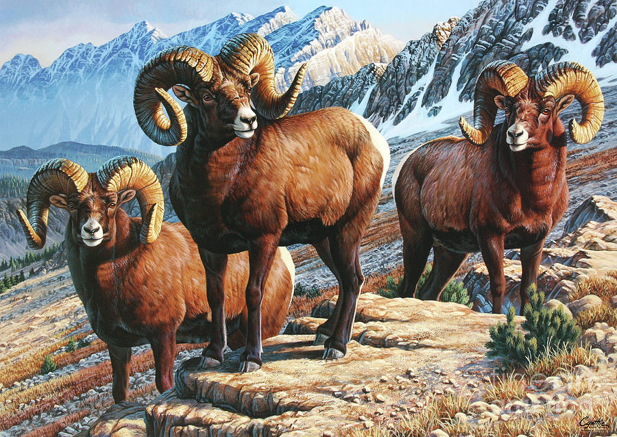 Mountain Monarchs Bighorn Sheep Painting by Cynthie Fisher