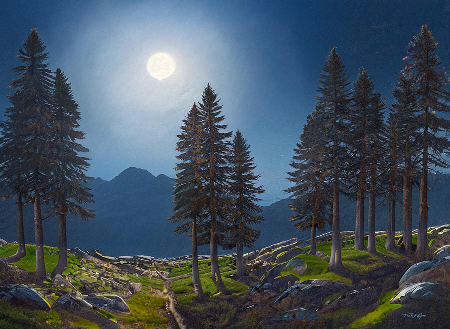 Mountain Moonglow D Digital Art by Frank Wilson
