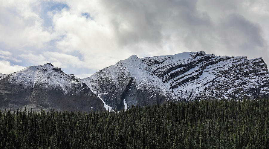 Mountain Panorama Canadian Rockies Photograph by Dan Sproul