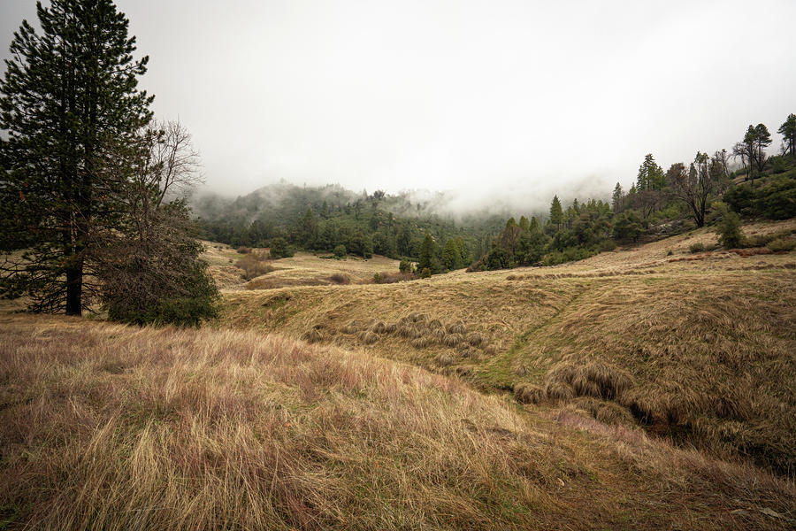 Mountain Pastures Photograph by Ryan Weddle