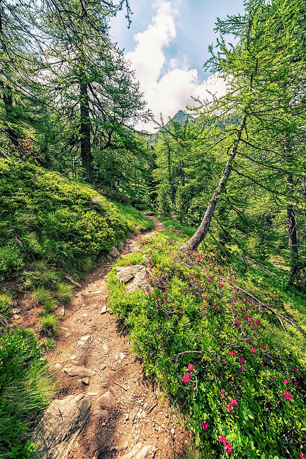 Holiday Photograph - Mountain Path by Manjik Pictures