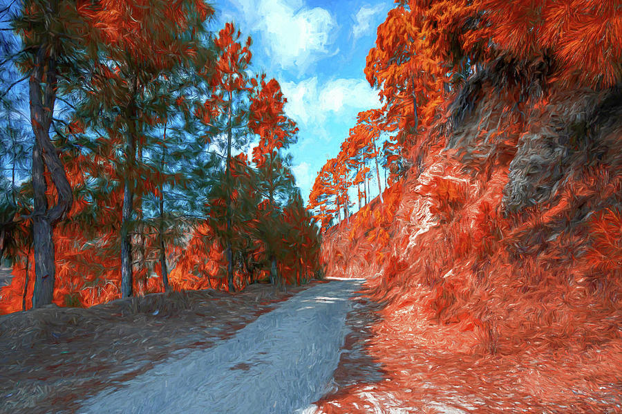Mountain Path Digital Art by Pravine Chester
