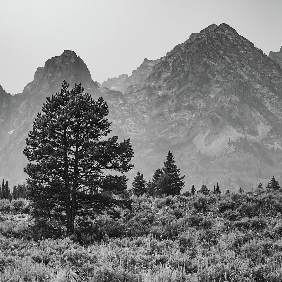 Mountain Peaks Of Grand Tetons - Black and White 1x1 Photograph by Gregory Ballos