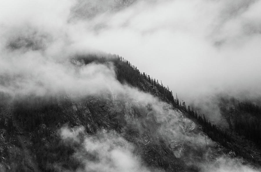 Mountain Pines In Clouds Black And White Photograph by Dan Sproul