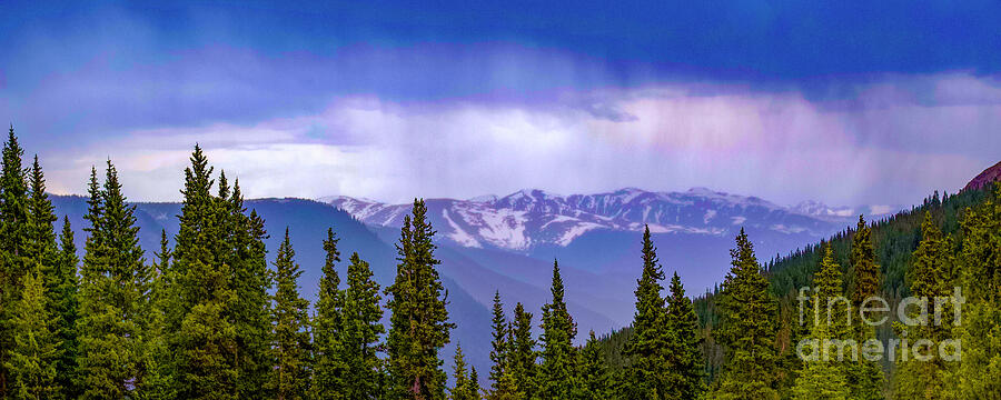 Mountain Rain Over Pine Forest Photograph - Mountain Rain Over Pine Forest by Shirley Dutchkowski