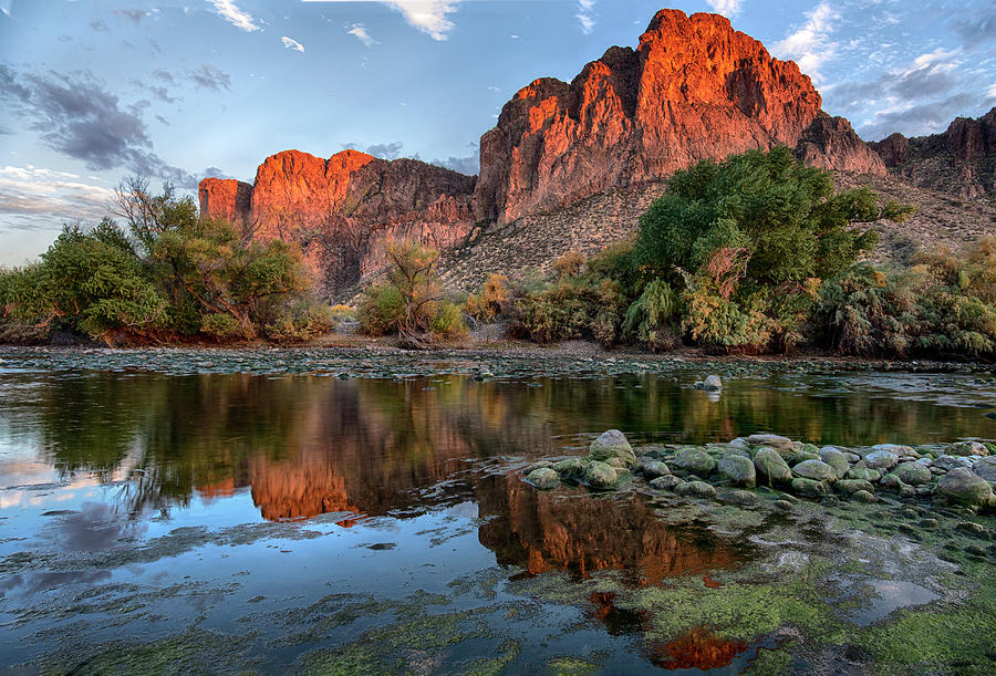Mountain Reflections in the Salt River Photograph by Dave Dilli