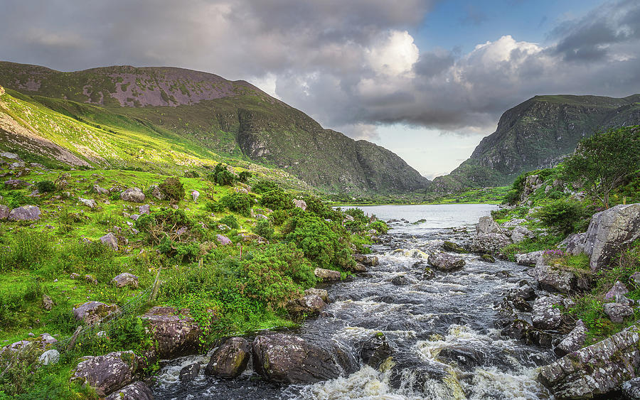 Mountain river in Gap of Dunloe Photograph by Dawid Kalisinski - Fine ...