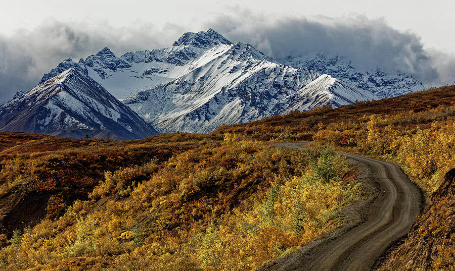 Alaska Mountain Road in Denali NP Photograph by Doolittle Photography and Art