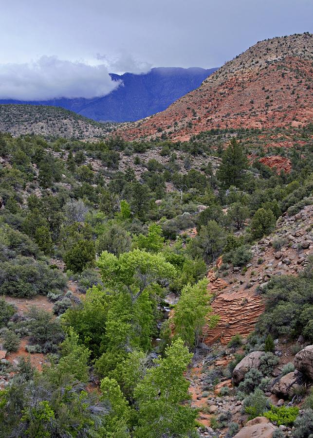 Mountain Scene in Utah Photograph by David Knowles