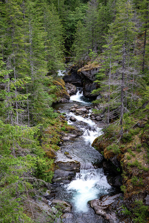 Source Rive Rmoutain Mountain Source Photograph by NMX Photo - Fine Art America