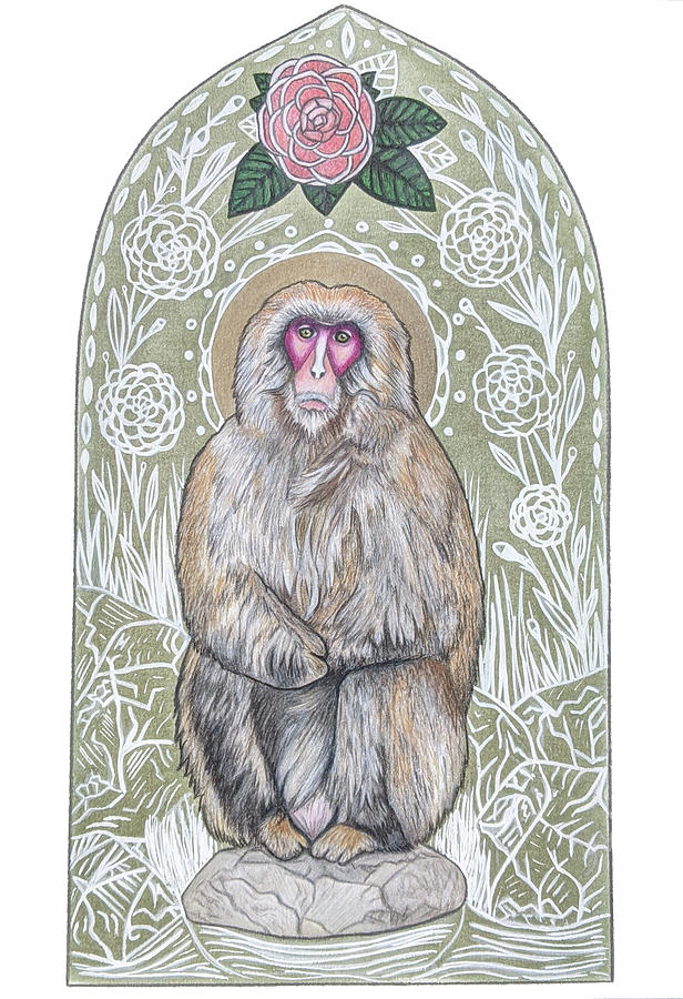 japanese macaque drawing