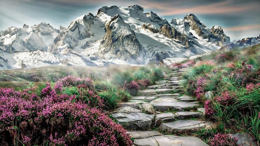 Mountain Steps Photograph by Bob Pardue