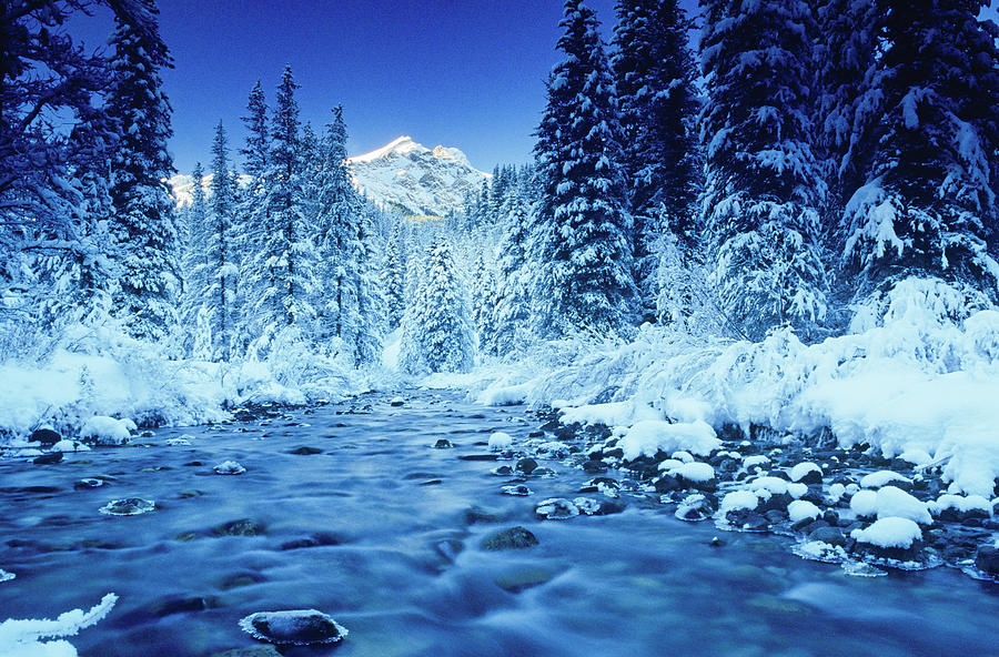 Mountain, stream and forest in winter, Banff National Park, Alberta, Canada Photograph by Panoramic Images