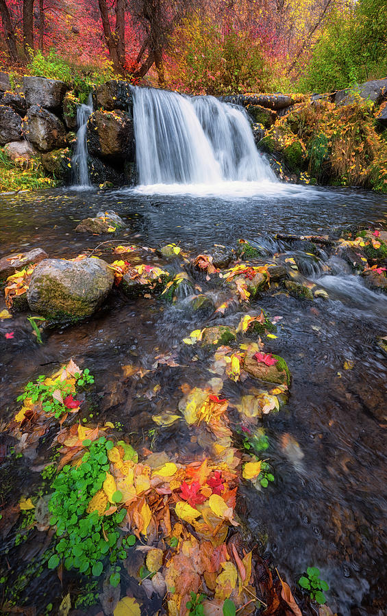 Mountain Stream and Waterfall Photograph by John Wilbur Mountain Stream and Waterfall Photograph by John Wilbur