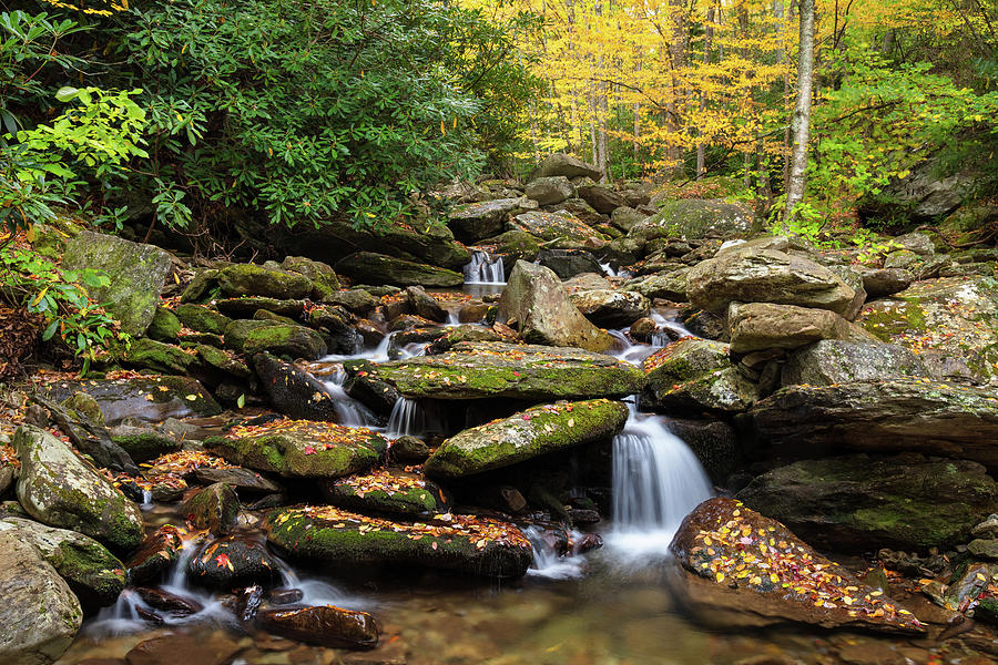 Mountain Stream In Autumn Photograph
