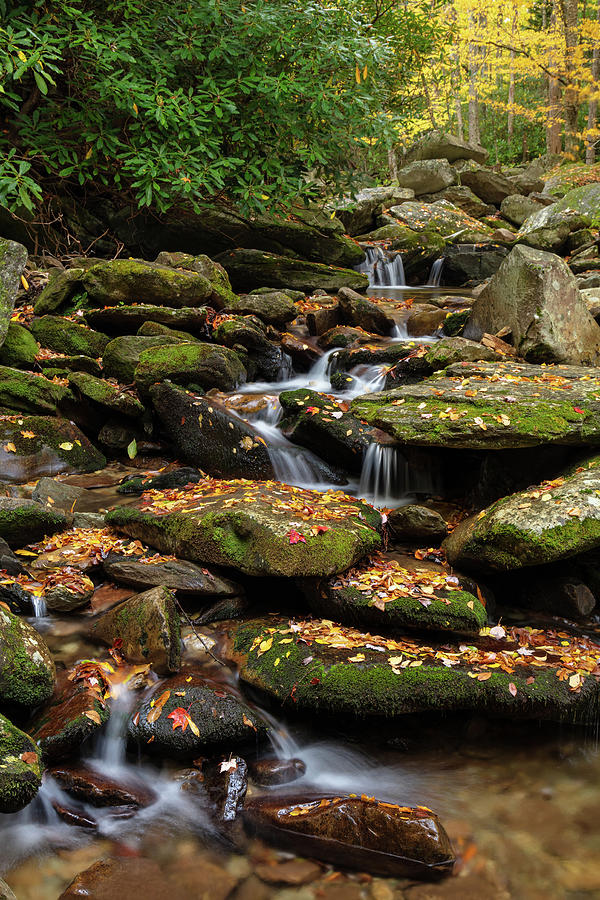 Mountain Stream In Autumn Vertical Photograph