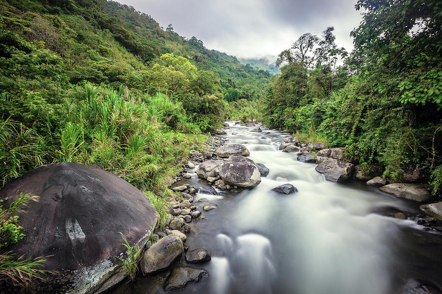 Mountain stream in Costa Rican forest Photograph by Alexey Stiop