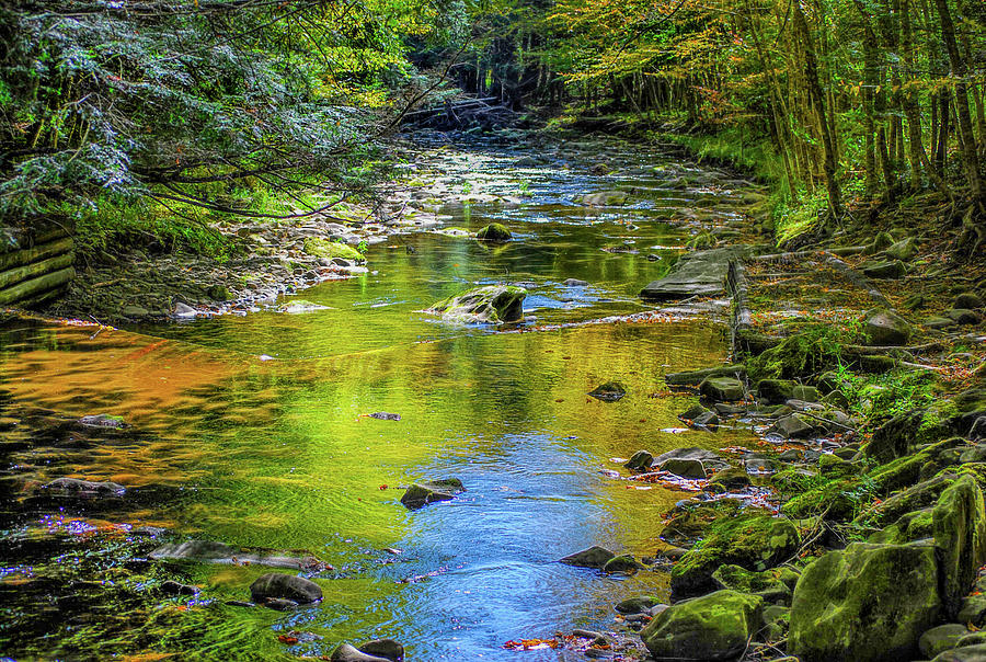 Mountain Stream in the Catskills Photograph by Cordia Murphy