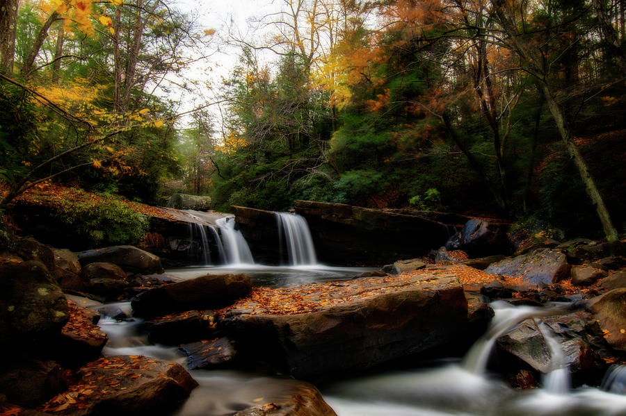 Mountain Stream In The Fall Photograph