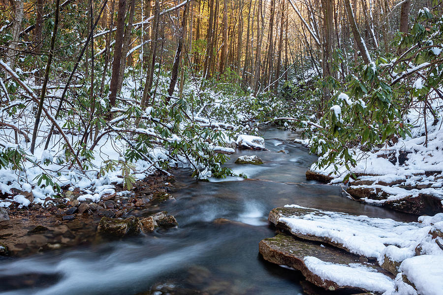 Mountain Stream in Winter Photograph by Cris Ritchie