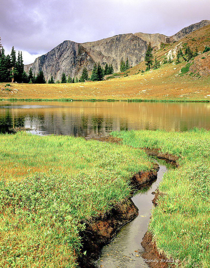 Mountain Stream  Photograph by Randy Bradley