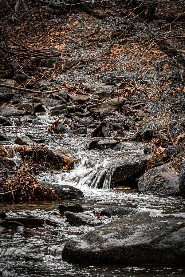 Mountain Stream Photograph by Rick Nelson